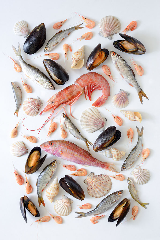 Assorted seafood arranged for Dennis Seafood Company