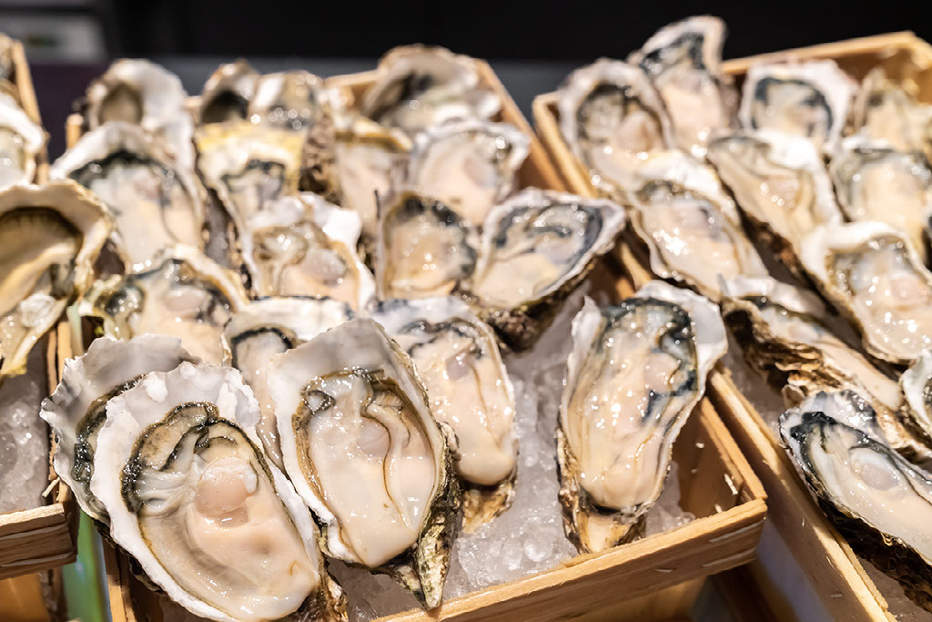 Shellfish seafood